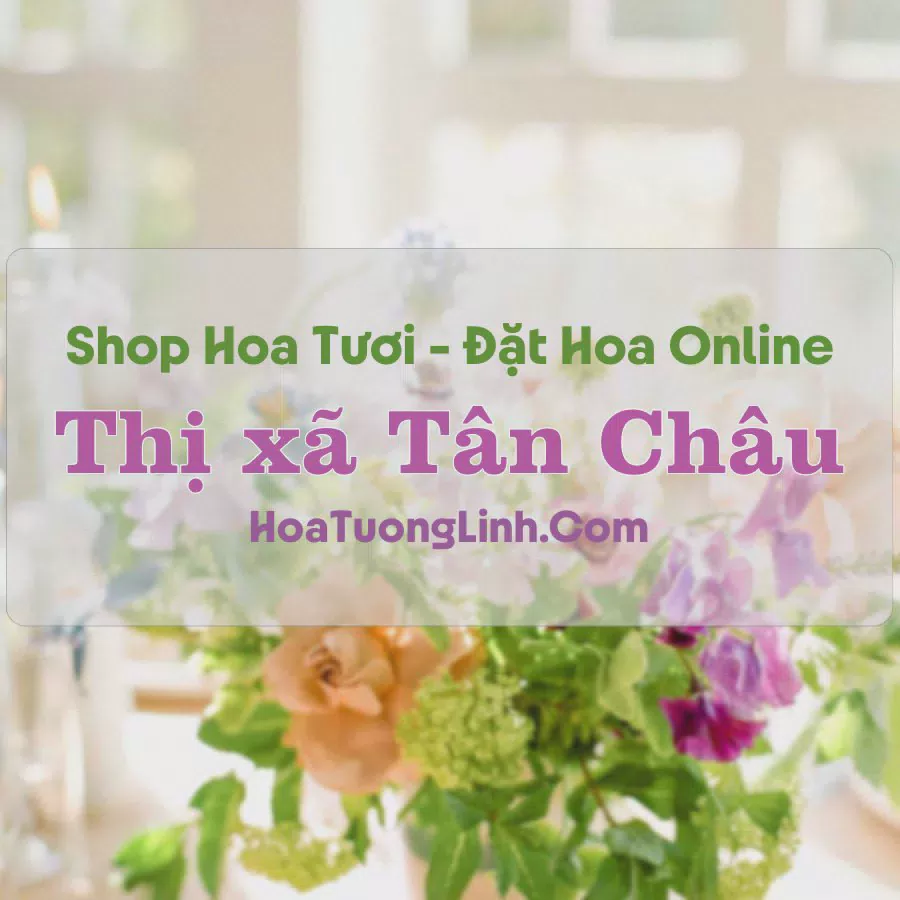 Shop Hoa Tươi Thị xã Tân Châu - An Giang