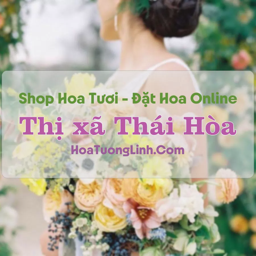 Shop Hoa Tươi Thị xã Thái Hòa – Nghệ An