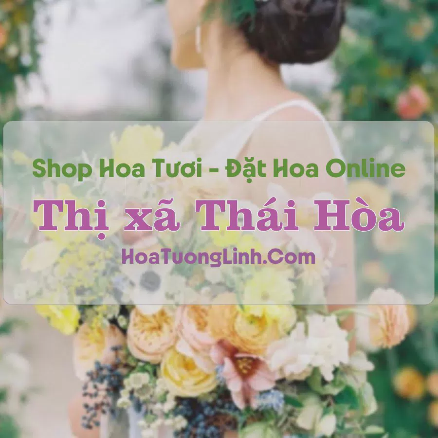 Shop Hoa Tươi Thị xã Thái Hòa - Nghệ An