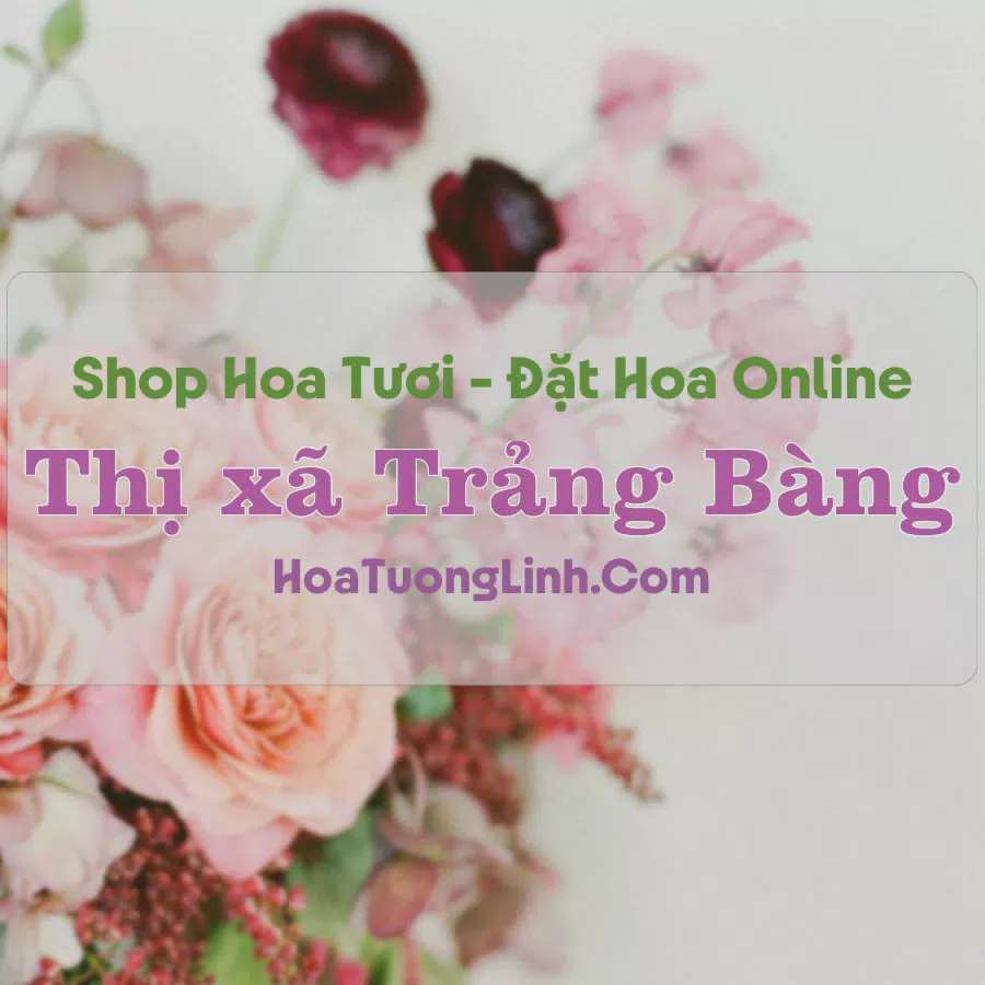 Shop Hoa Tươi Thị xã Trảng Bàng - Tây Ninh