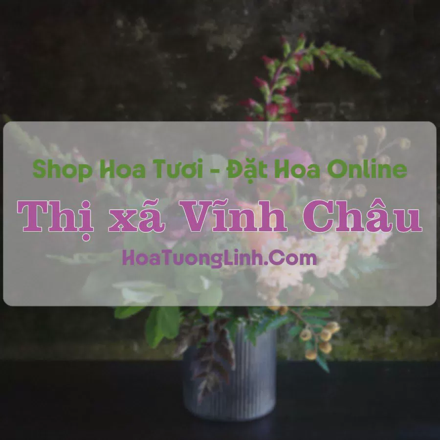 Shop Hoa Tươi Thị xã Vĩnh Châu - Sóc Trăng