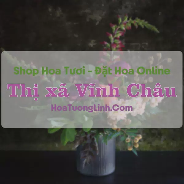 Shop Hoa Tươi Thị xã Vĩnh Châu - Sóc Trăng