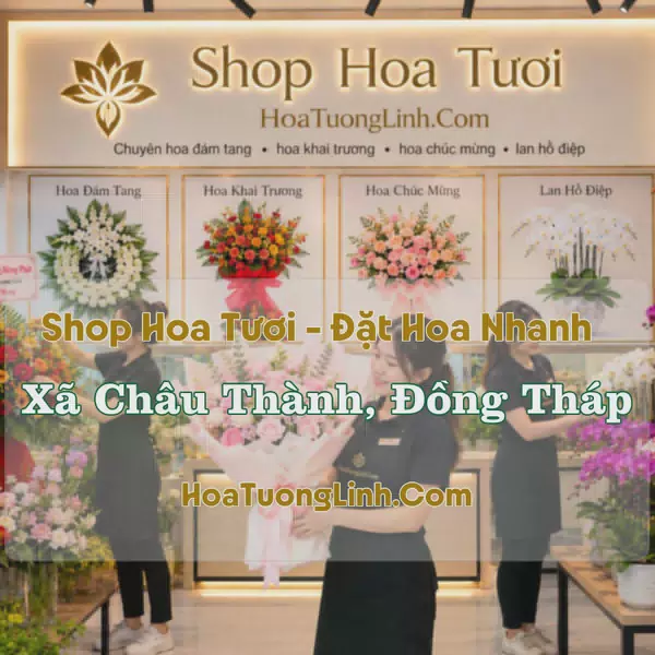 Đặt Hoa Online Xã Châu Thành, Đồng Tháp - Tư Vấn Mức Chi