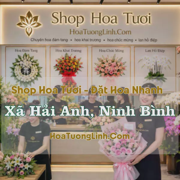 Giao Hoa Tươi Xã Hải Anh, Ninh Bình - Liên Hệ Chọn Mẫu