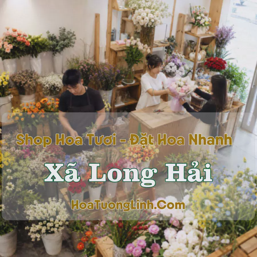 Đặt Hoa Online Xã Long Hải, TP.HCM - Tư Vấn Theo Yêu Cầu