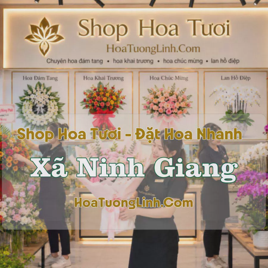 Shop Hoa Xã Ninh Giang, Hải Phòng - Nhiều Kiểu Dáng