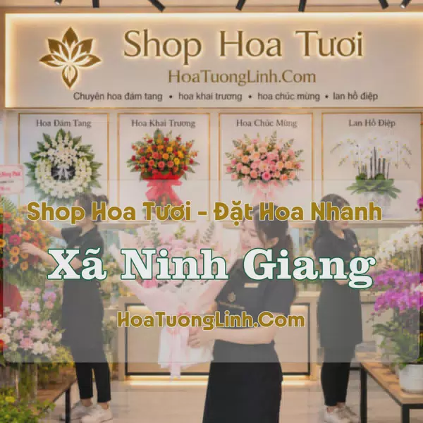Shop Hoa Xã Ninh Giang, Hải Phòng - Nhiều Kiểu Dáng