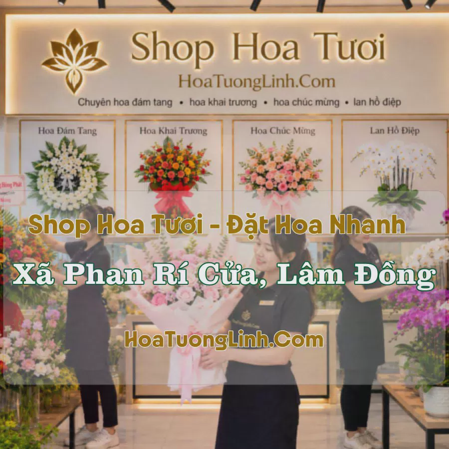Tiệm Hoa Xã Phan Rí Cửa, Lâm Đồng - Chọn Theo Dịp