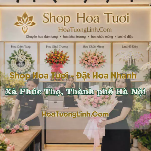 Cửa Hàng Hoa Tươi Xã Phúc Thọ, Hà Nội - Nhiều Mẫu Đẹp