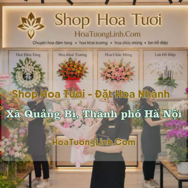Shop Hoa Xã Quảng Bị, Hà Nội - Nhiều Kiểu Dáng