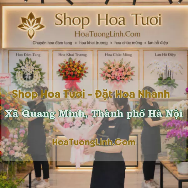 Shop Hoa Xã Quang Minh, Hà Nội - Thiết Kế Theo Yêu Cầu