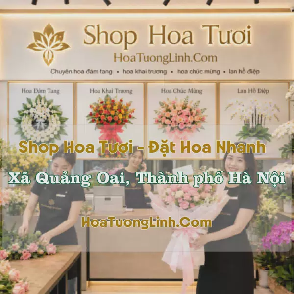 Shop Hoa Xã Quảng Oai, Hà Nội - Nhiều Kiểu Dáng