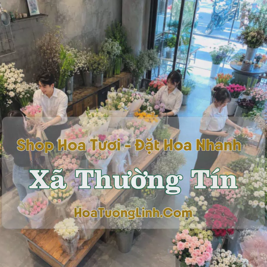 Đặt Hoa Xã Thường Tín, Hà Nội - Tư Vấn Mẫu Phù Hợp