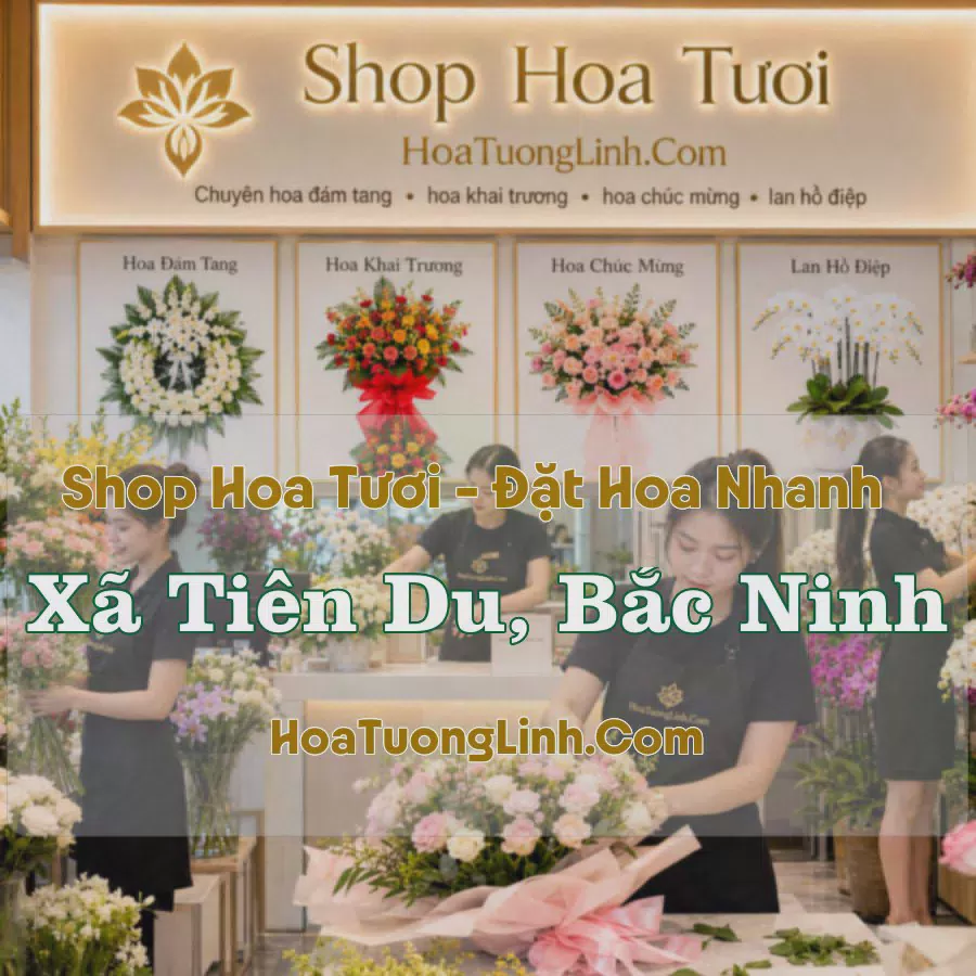 Tiệm Hoa Tươi Xã Tiên Du, Bắc Ninh - Đặt Hoa Online