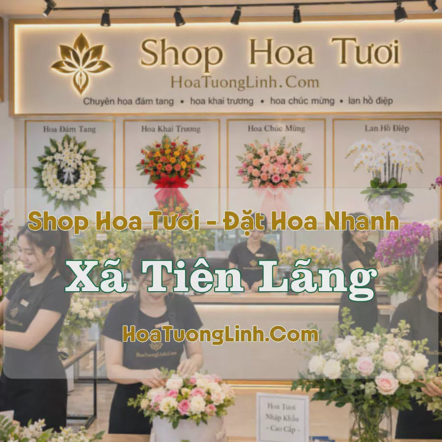 Shop Hoa Tươi Xã Tiên Lãng, Hải Phòng - Giao Tận Nơi