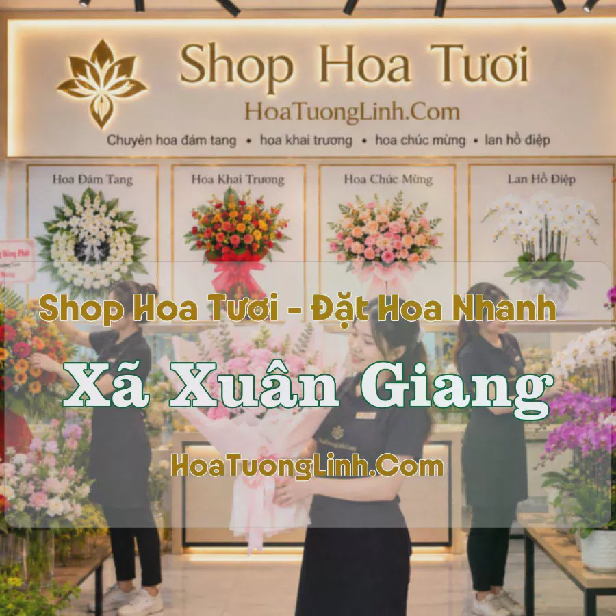 Tiệm Hoa Xã Xuân Giang, Ninh Bình - Chọn Theo Dịp