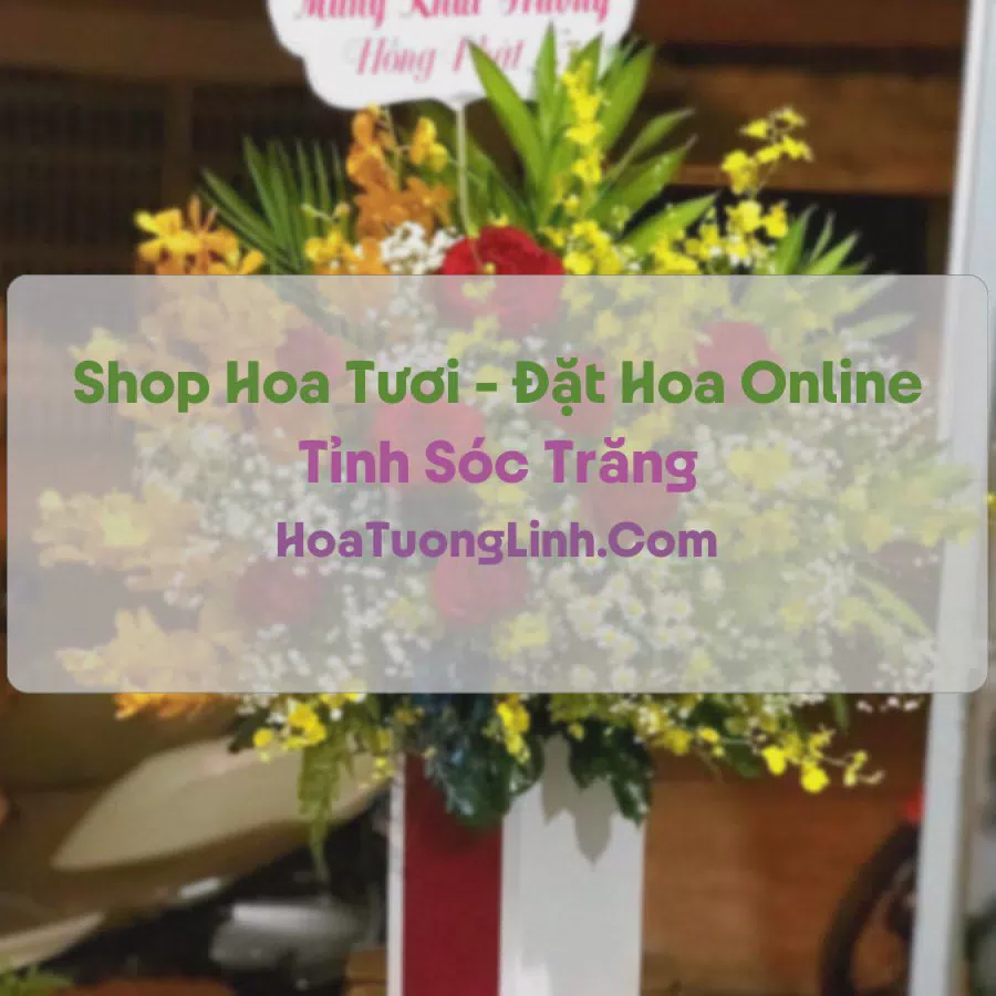 Shop Hoa Tươi Tại Sóc Trăng - Điện Hoa Tận Nơi