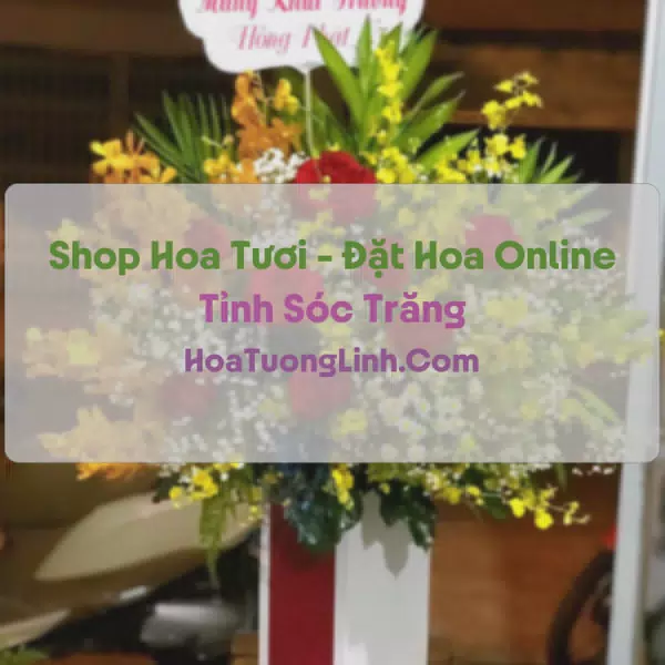 Shop Hoa Tươi Tại Sóc Trăng - Điện Hoa Tận Nơi