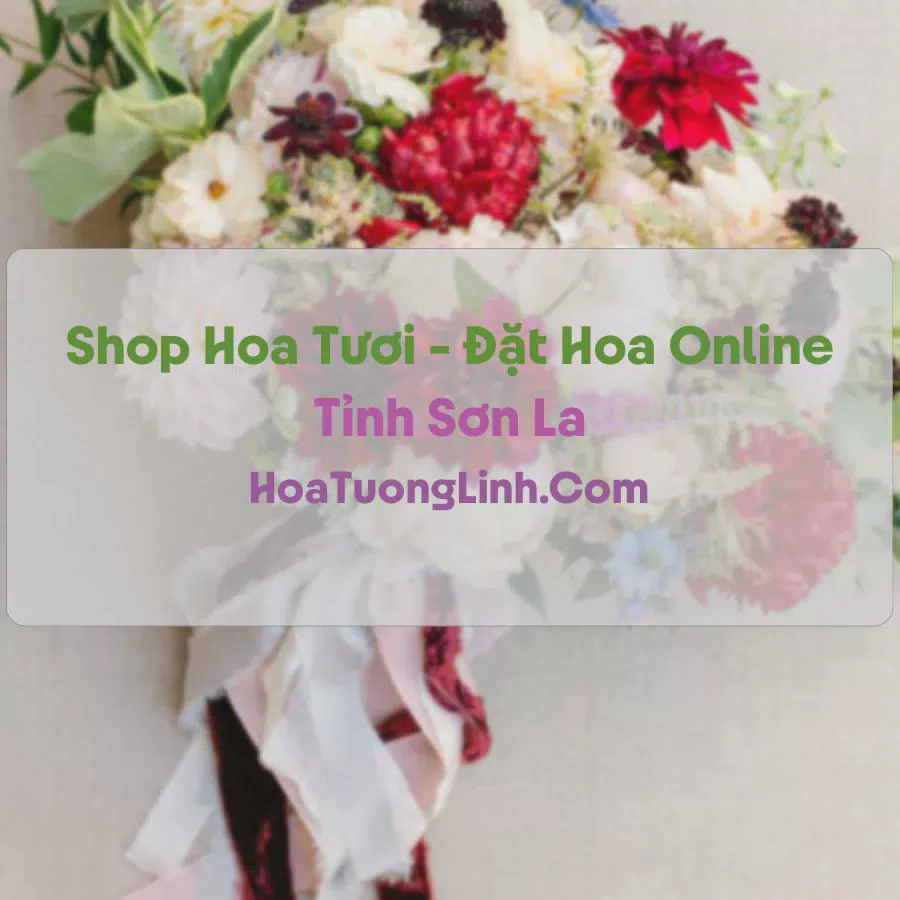 Shop Hoa Tươi Tại Sơn La - Điện Hoa Tận Nơi