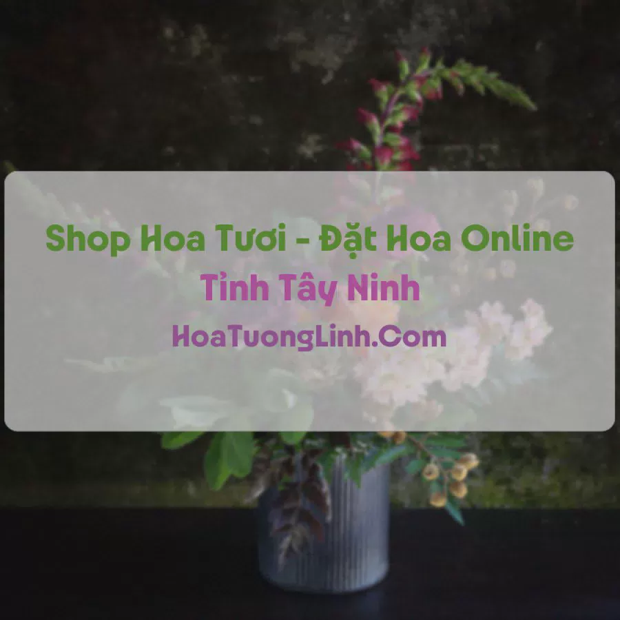 Shop Hoa Tươi Tại Tây Ninh - Điện Hoa Tận Nơi