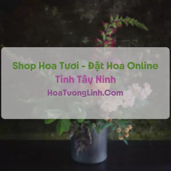 Shop Hoa Tươi Tại Tây Ninh - Điện Hoa Tận Nơi