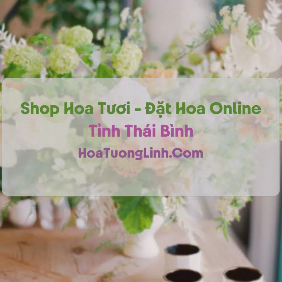 Shop Hoa Tươi Tại Thái Bình - Điện Hoa Tận Nơi