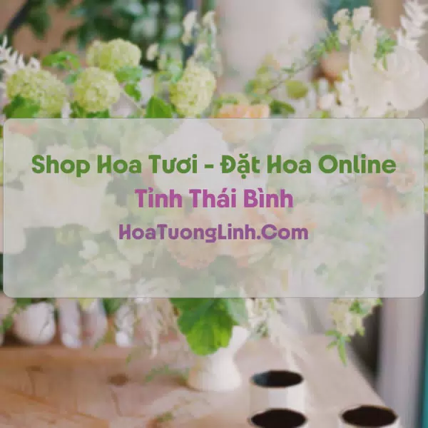 Shop Hoa Tươi Tại Thái Bình - Điện Hoa Tận Nơi