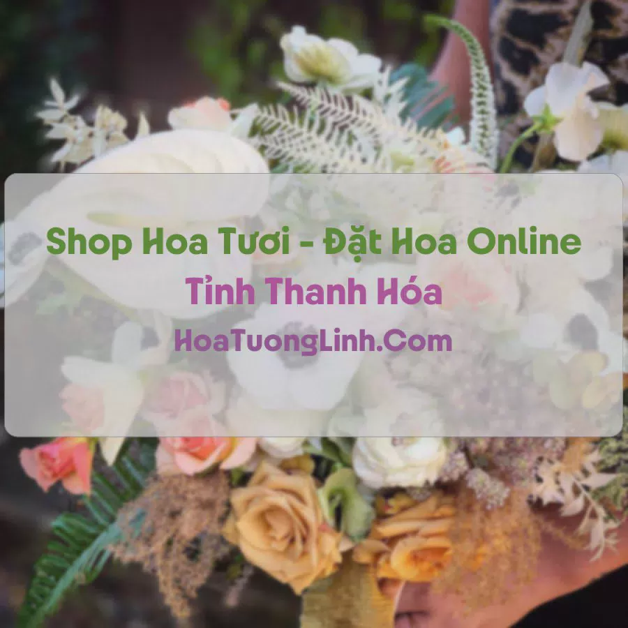 Shop Hoa Tươi Tại Thanh Hóa - Điện Hoa Tận Nơi