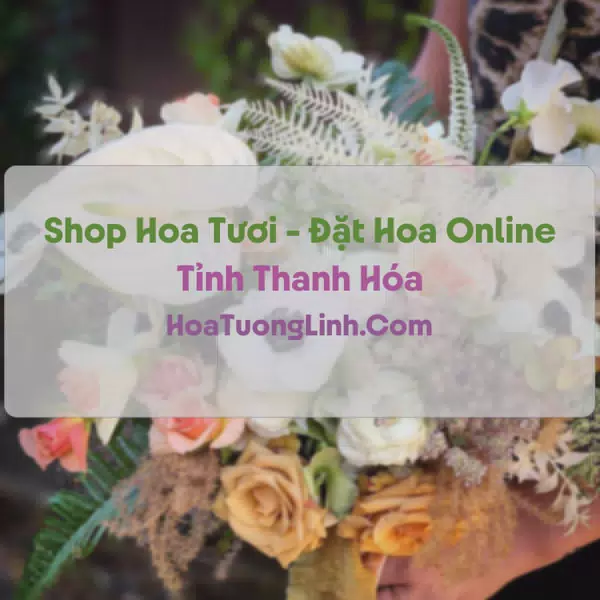 Shop Hoa Tươi Tại Thanh Hóa - Điện Hoa Tận Nơi