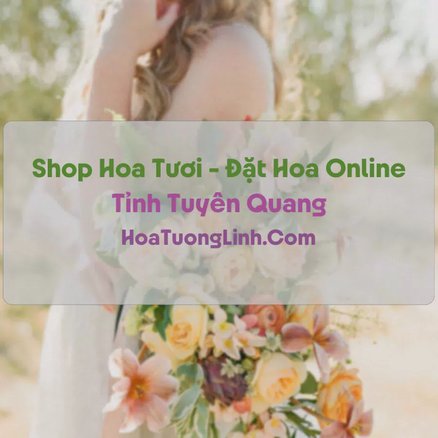 Shop Hoa Tươi Tại Tuyên Quang - Điện Hoa Tận Nơi