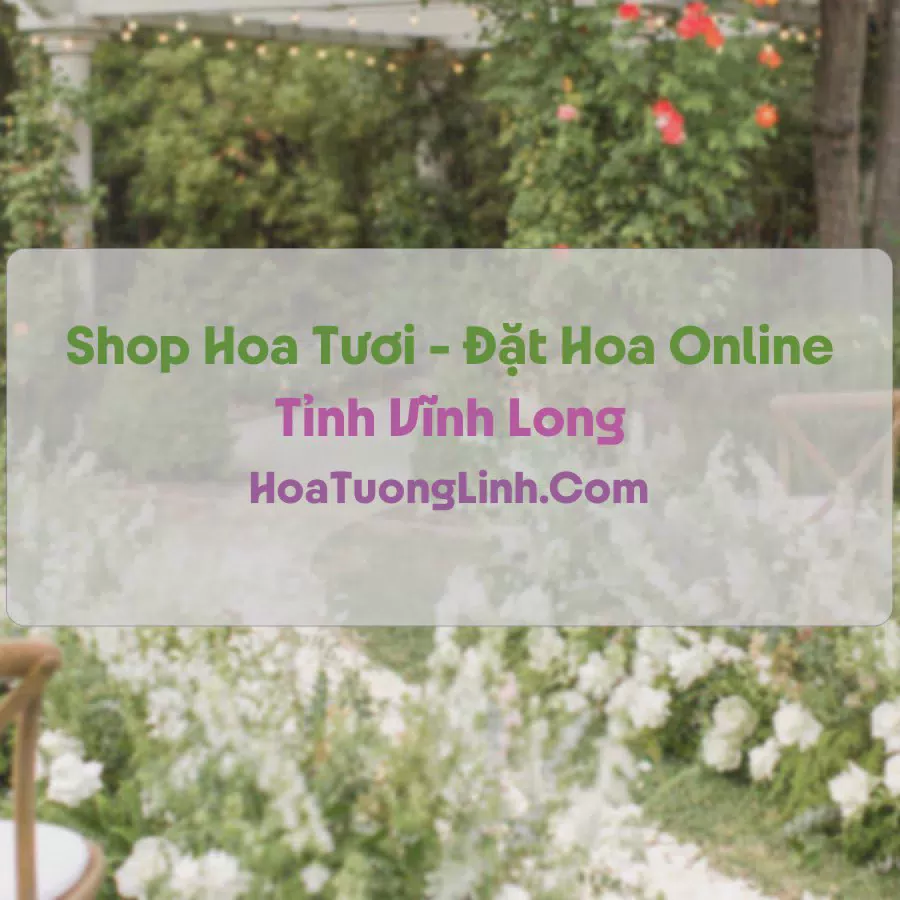 Shop Hoa Tươi Tại Vĩnh Long - Điện Hoa Tận Nơi