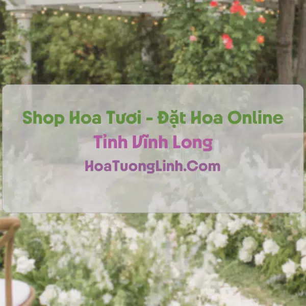 Shop Hoa Tươi Tại Vĩnh Long - Điện Hoa Tận Nơi