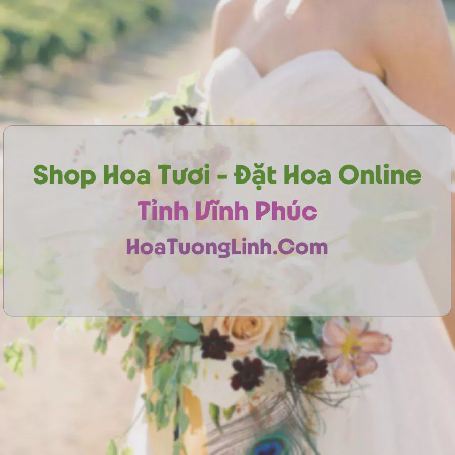 Shop Hoa Tươi Tại Vĩnh Phúc - Điện Hoa Tận Nơi